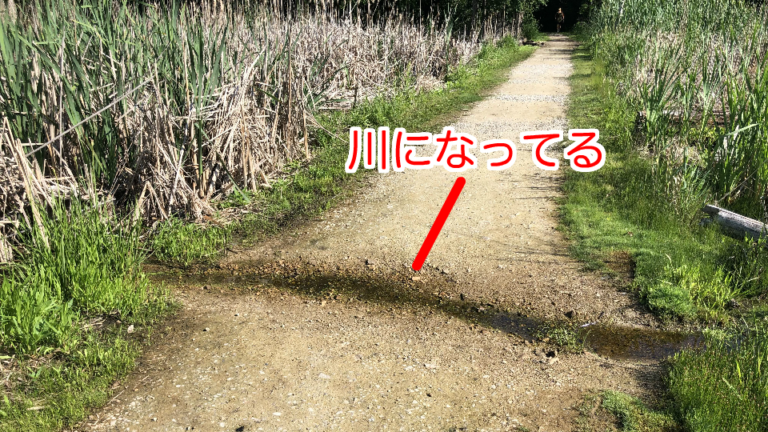 「川」の英語表現9選、Riverでは不適切な場合があります | ゆずピザ