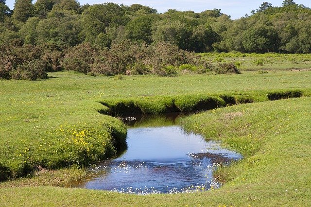 Brook, Creekの画像